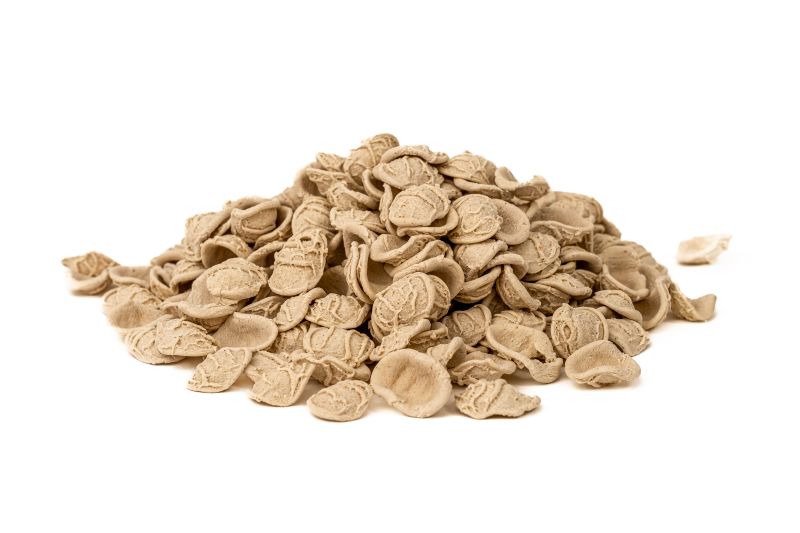 Orecchiette al grano arso